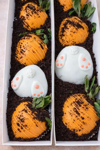 Carrot Patch Strawberries
