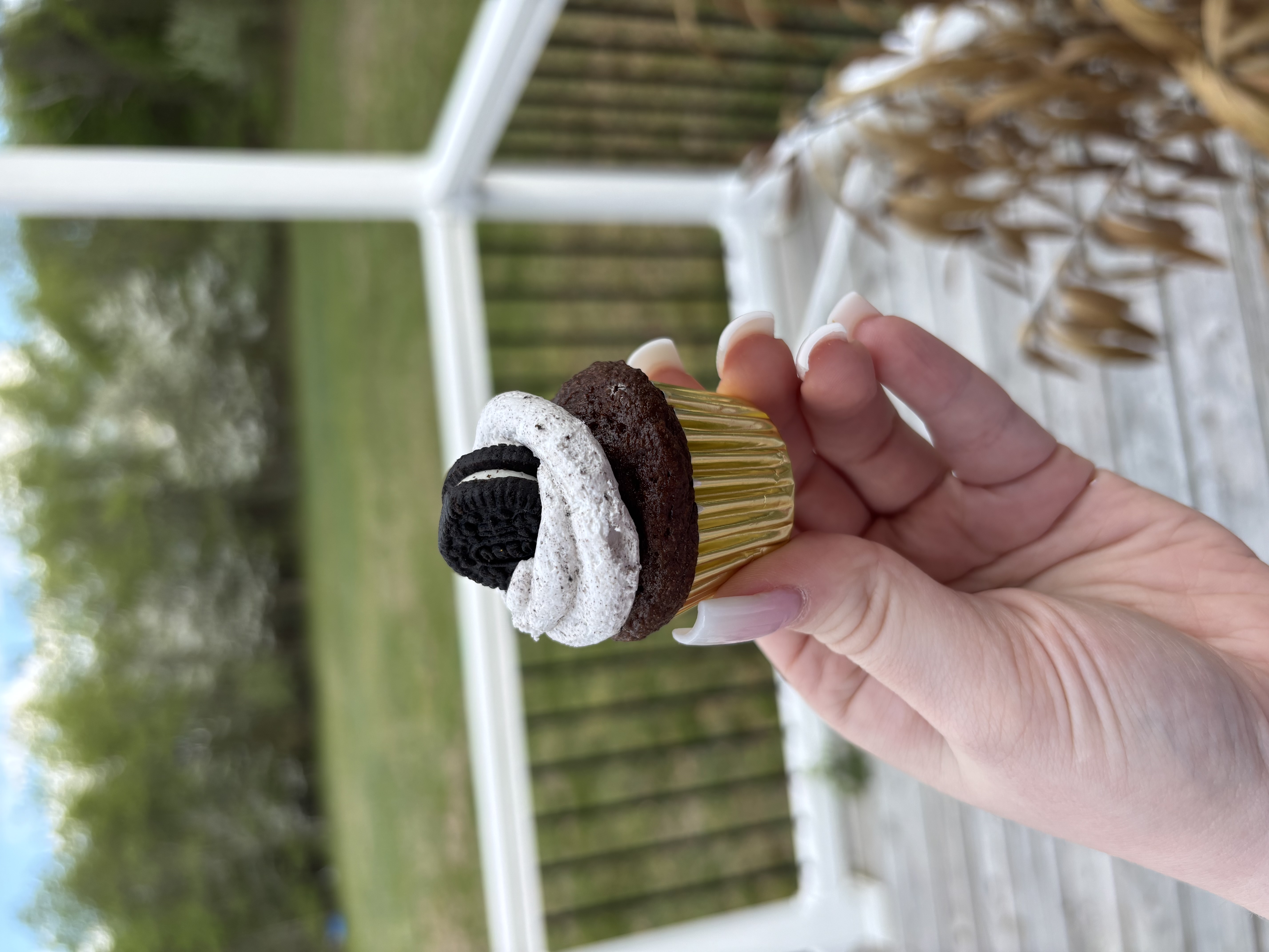 🧁🧁 Mini Cupcakes (2 dozen)
